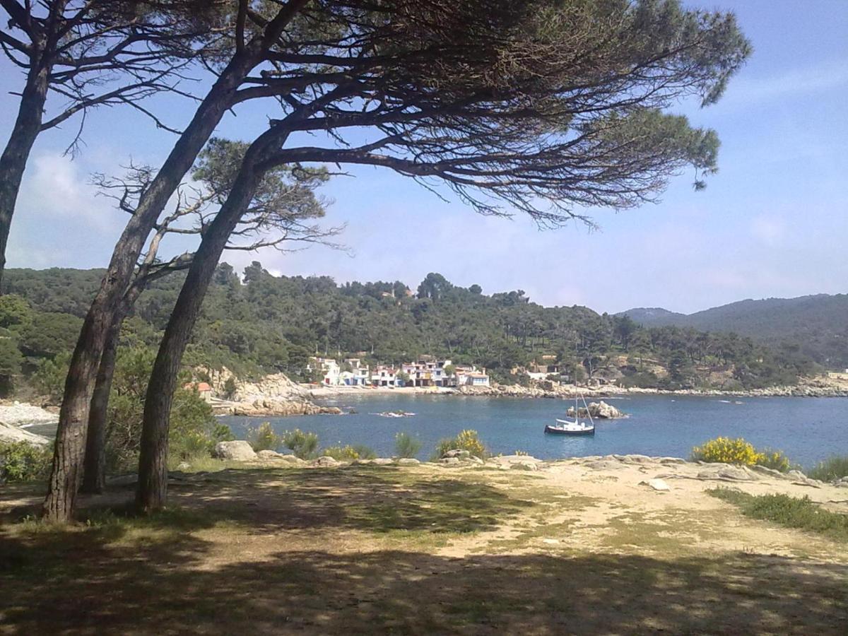 Hotel Ancora Palamós Εξωτερικό φωτογραφία